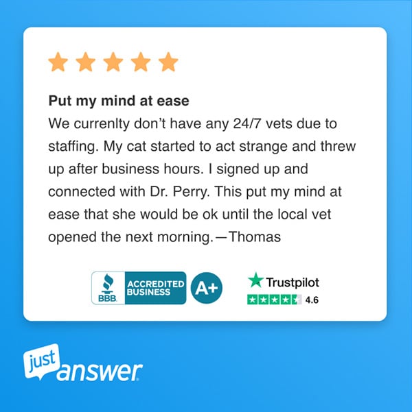 Ask a Veterinarian About Your Animal